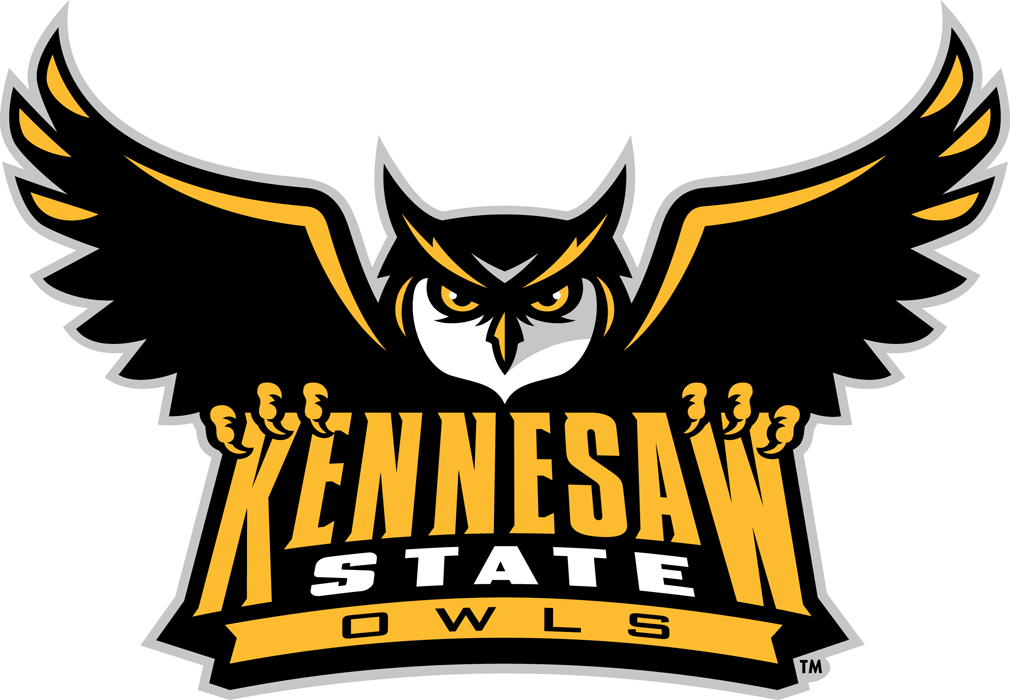 Kennesaw State Owls 2012-Pres Primary Logo t shirts iron on transfers